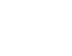 Lok